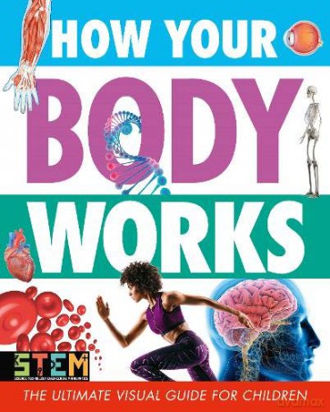 How Your Body Works: The Ultimate Visual Guide for Children - Penny Worms [KSIĄŻKA]
