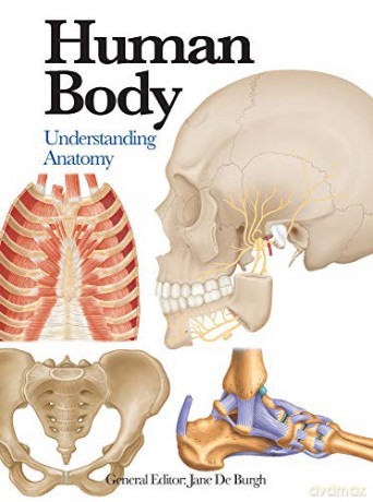 Human Body: Understanding Anatomy (Mini Encyclopedia) - Jane De Burgh [KSIĄŻKA]
