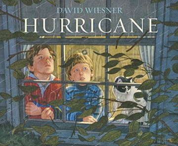Hurricane - David Wiesner [KSIĄŻKA]
