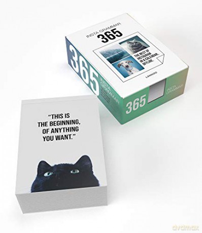 Insta Grammar 365 Calendar - Irene Schampaert [KSIĄŻKA]