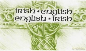 Irish-English, English-Irish Dictionary - Niklas Miller [KSIĄŻKA]