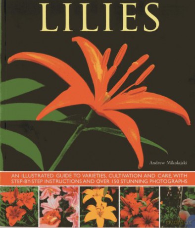 Lilies: An Illustrated Guide to Varieties, Cultivation and Care, with Step-by-step Instructions and Over 150 Stunning Photographs - Andrew Mikolajski [KSIĄŻKA]