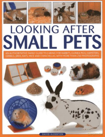 Looking After Small Pets - David Alderton [KSIĄŻKA]