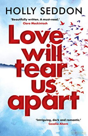 Love Will Tear Us Apart - Holly Seddon [KSIĄŻKA]