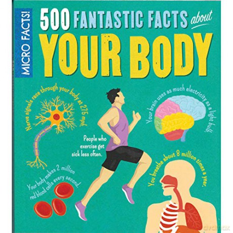 Micro Facts! 500 Fantastic Facts About Your Body - Anne Rooney [KSIĄŻKA]