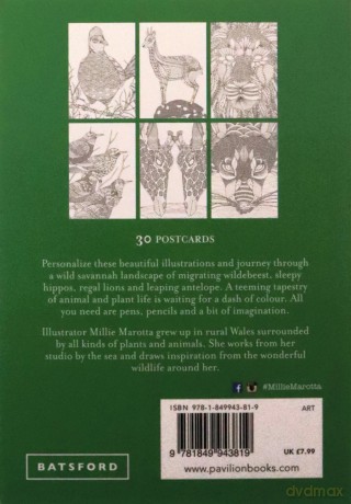 Millie Marotta's Wild Savannah Postcard Book - Millie Marotta [KSIĄŻKA]