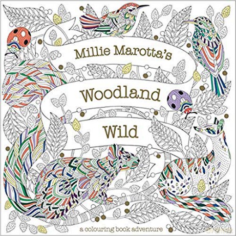 Millie Marotta's Woodland Wild: A colouring book adventure: 24 - Millie Marotta [KSIĄŻKA]