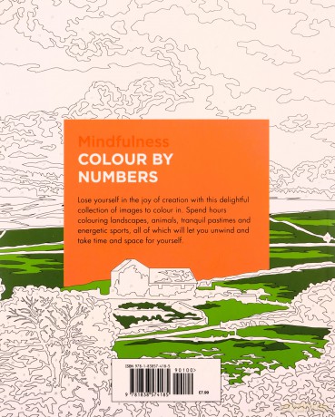 Mindfulness Colour by Numbers: -: - - David Woodroffe [KSIĄŻKA]