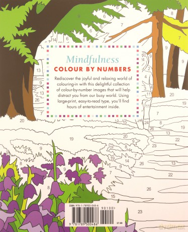 Mindfulness Colour-by-Numbers Large Print (Arcturus Large Print Colour by Numbers Collection) - Arcturus Publishing [KSIĄŻKA]