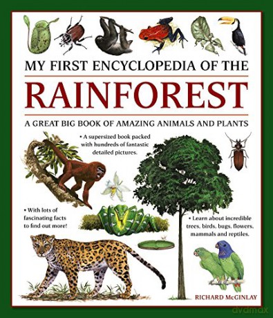 My First Encyclopedia of the Rainforest: A Great Big Book of Amazing Animals and Plants - Richard McGinlay [KSIĄŻKA]