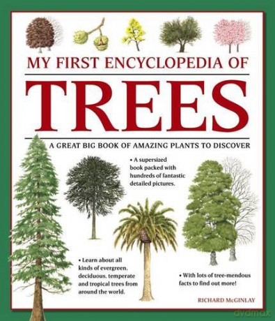 My First Encyclopedia of Trees: A Great Big Book of Amazing Plants to Discover - Richard McGinlay [KSIĄŻKA]