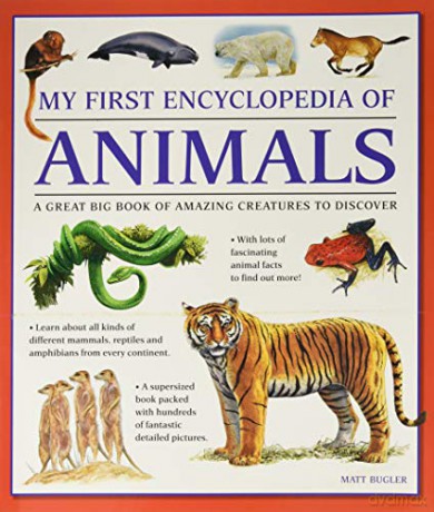 My First Encylopedia of Animals: A First Encyclopedia with Supersize Pictures - Matt Bugler [KSIĄŻKA]