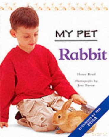 My Pet Rabbit - Honor Head [KSIĄŻKA]