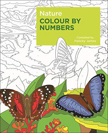 Nature Colour by Numbers (Arcturus Colour by Numbers Collection) - The Affirmations Colouring Book Felicity James [KSIĄŻKA]