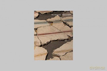 New Monuments (Seasons Series) - Shane Lavalette [KSIĄŻKA]