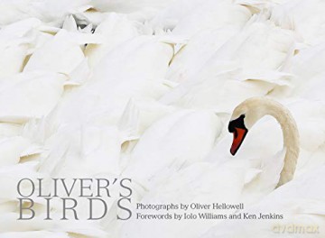 Oliver's Birds: By Oliver Hellowell - Photographs by Oliver Hellowell [KSIĄŻKA]