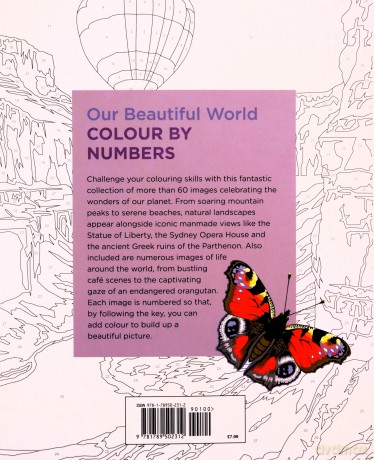 Our Beautiful World Colour by Numbers (Arcturus Colour by Numbers Collection) - David Woodroffe [KSIĄŻKA]
