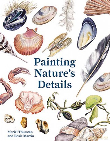 Painting Nature's Details - Meriel Thurstan [KSIĄŻKA]