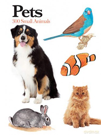 Pets: Mini Encyclopedia: 300 Small Animals - Claudia Martin [KSIĄŻKA]