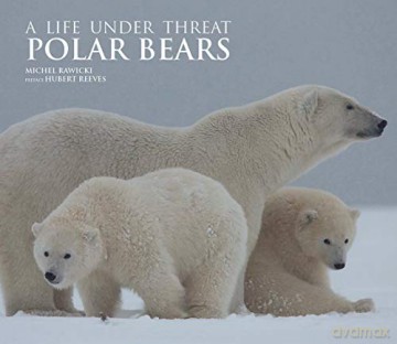 Polar Bears: A Life Under Threat - Michel Rawicki [KSIĄŻKA]