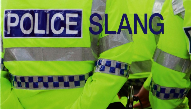Police Slang - Charles Harris M.D. Ph.D. [KSIĄŻKA]