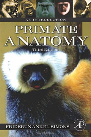 Primate Anatomy: An Introduction - Friderun Ankel-Simons [KSIĄŻKA]