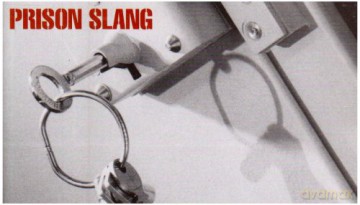 Prison Slang - W.C. Irvine [KSIĄŻKA]