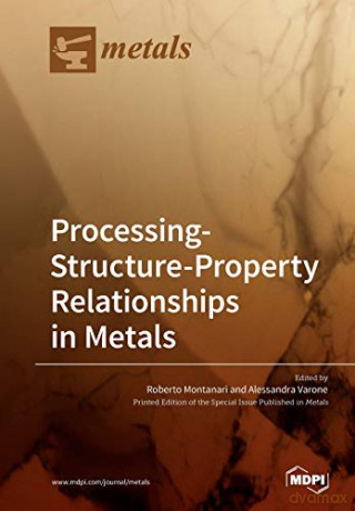 Processing-Structure-Property Relationships in Metals - Roberto Montanari [KSIĄŻKA]