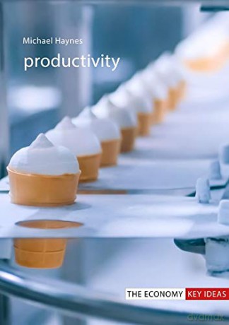 Productivity (The Economy Key Ideas) - Michael Haynes [KSIĄŻKA]