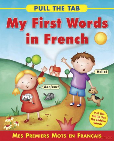 Pull the Tab: My First Words in French: Mes Premiers Mots En Francais: Mes Premiers Mots En Francais - Pull the Tab to See the Hidden Words! - Sally Delaney [KSIĄŻKA]