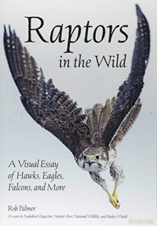 Raptors in the Wild A Visual Essay of Hawks, Eagles, Falcons, and more. - Rob Palmer [KSIĄŻKA]