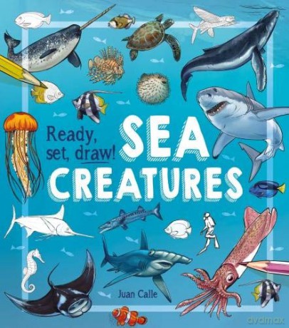 Ready, Set, Draw! Sea Creatures - Juan Calle [KSIĄŻKA]