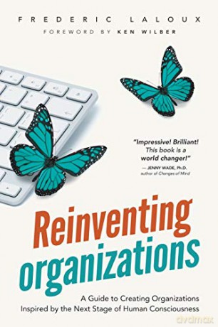 Reinventing Organizations: A Guide to Creating Organizations Inspired by the Next Stage in Human Consciousness: A Guide to Creating Organizations Inspired by the Next Stage of Human Consciousness - Frederic Laloux [KSIĄŻKA]