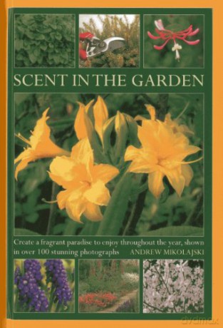 Scent in the Garden: Create a Fragrant Paradise to Enjoy Throughout the Year, Shown in 100 Stunning Photographs - Andrew Mikolajski [KSIĄŻKA]