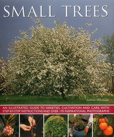 Small Trees - Andrew Mikolajski [KSIĄŻKA]