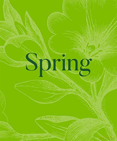 Spring - Highlights from the Tate Collection of Art - David Trigg [KSIĄŻKA]