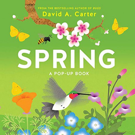 Spring (Seasons Pop-up): A Pop-up Book - David A. Carter [KSIĄŻKA]