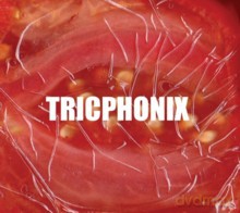 Tricphonix: Tricphonix [CD]