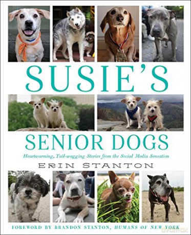Susie's Senior Dogs - Erin Stanton [KSIĄŻKA]