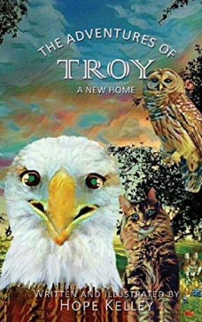 The Adventures of Troy A New Home - Hope Kelley [KSIĄŻKA]