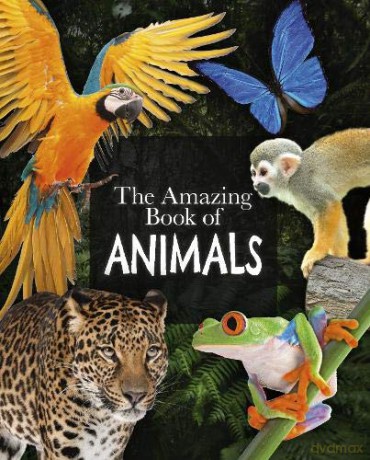 The Amazing Book of Animals (Amazing Books) - Dr Michael Leach [KSIĄŻKA]