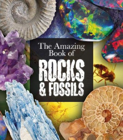 The Amazing Book of Rocks and Fossils (Amazing Books) - Claudia Martin [KSIĄŻKA]
