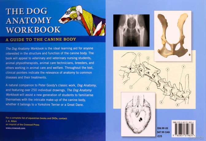 The Dog Anatomy Workbook: A Guide to the Canine Body: A Learning Aid for Students - Andrew Gardiner [KSIĄŻKA]