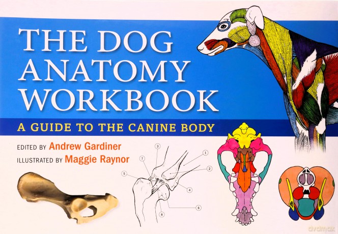 The Dog Anatomy Workbook: A Guide to the Canine Body: A Learning Aid for Students - Andrew Gardiner [KSIĄŻKA]