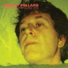 Robert Pollard: From a Compound Eye [CD]