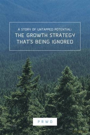 The Growth Strategy That's Being Ignored: A Story of Untapped Potential - Paul Rouke [KSIĄŻKA]