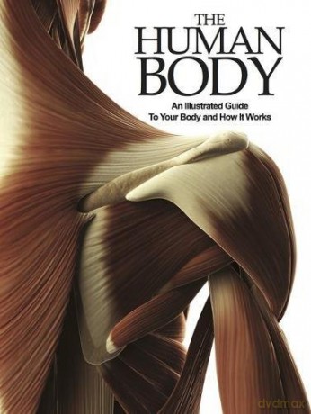 The Human Body - Peter Abrahams [KSIĄŻKA]