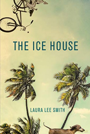 The Ice House - Laura Lee Smith [KSIĄŻKA]