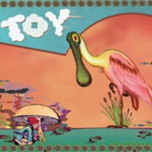 Toy: Toy [CD]