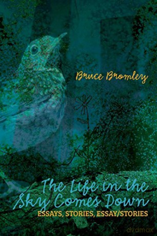 The Life in the Sky Comes Down: Essays, Stories, Essay/Story - Bruce D Bromley [KSIĄŻKA]